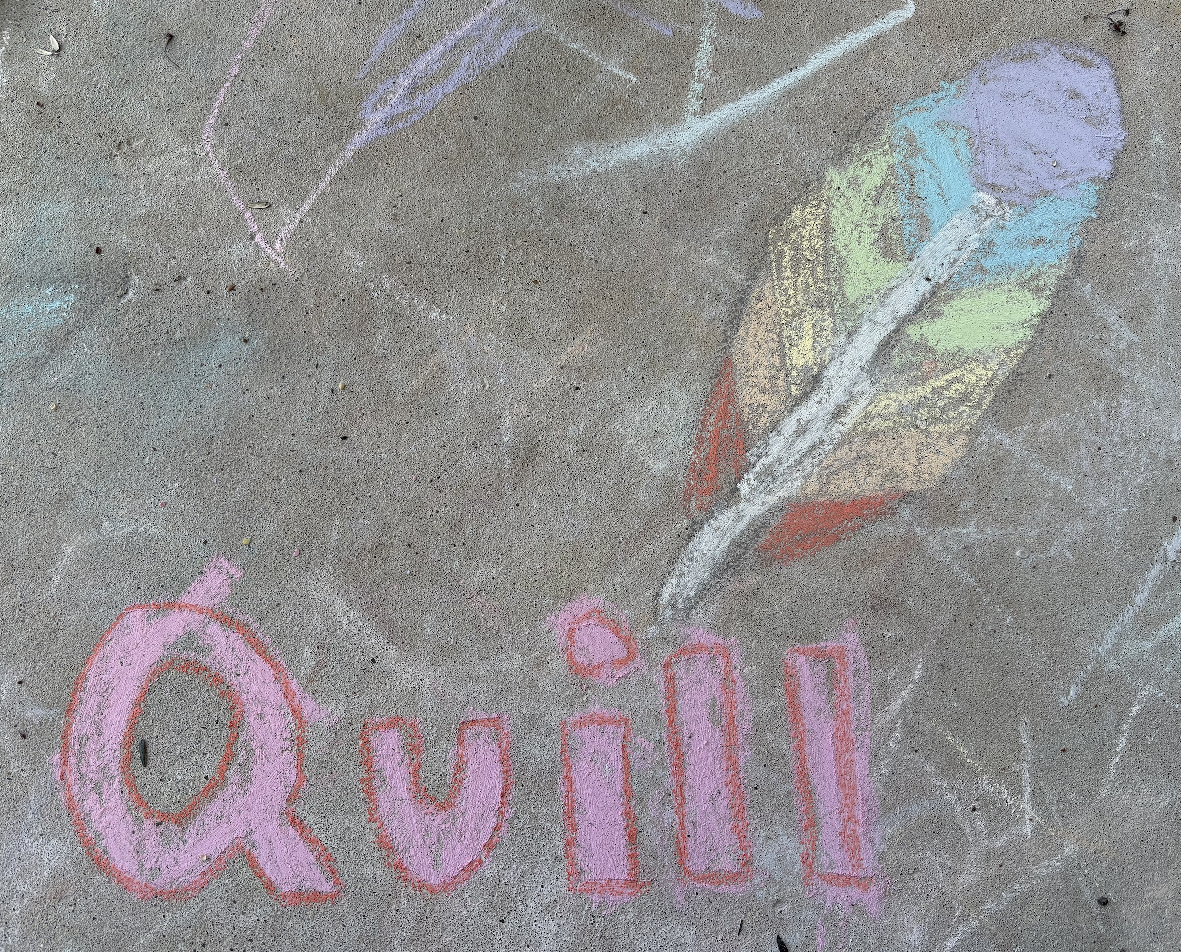 A chalk drawing of Quill!